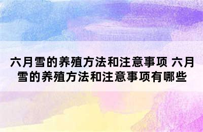 六月雪的养殖方法和注意事项 六月雪的养殖方法和注意事项有哪些